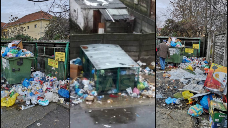 FOTO. Primăria Satu Mare vrea să amendeze firma de salubritate. Sancțiuni drastice și pentru cetățeni