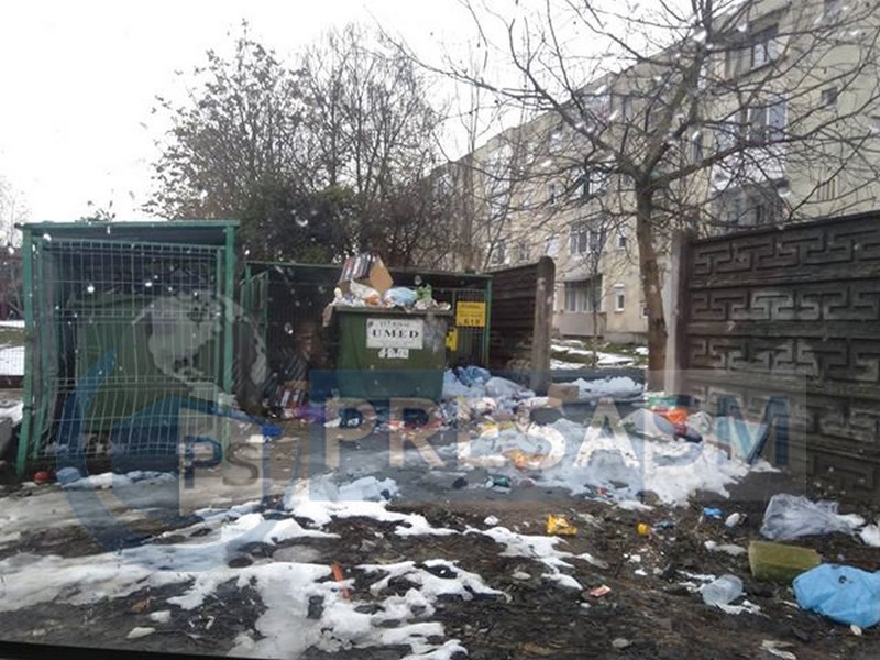 Undă verde pentru sancțiunile drastice. Ce amenzi riscă sătmărenii și firma de salubrizare