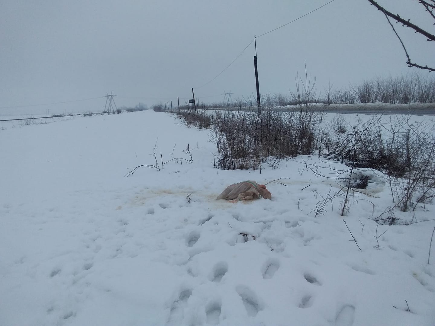 FOTO. Cadavru descoperit pe câmp, în județ. Operator 112 către Poliție: ”Nu știu ce să îi spun, îndrumă-l tu”