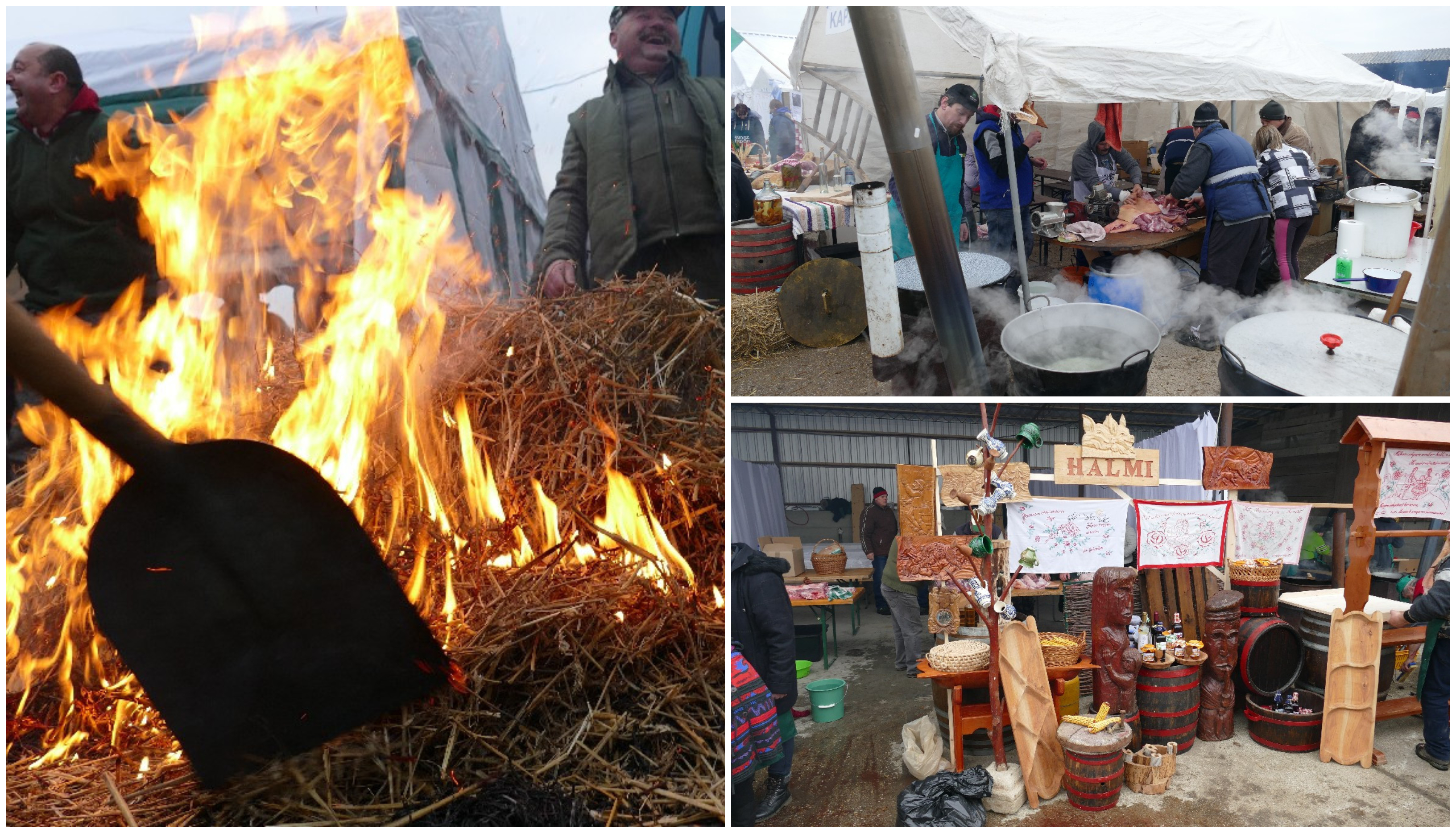 FOTOGALERIE. A curs mult sânge în Foieni, la concursul UDMR de tăiat porci. Preparate unul și unul