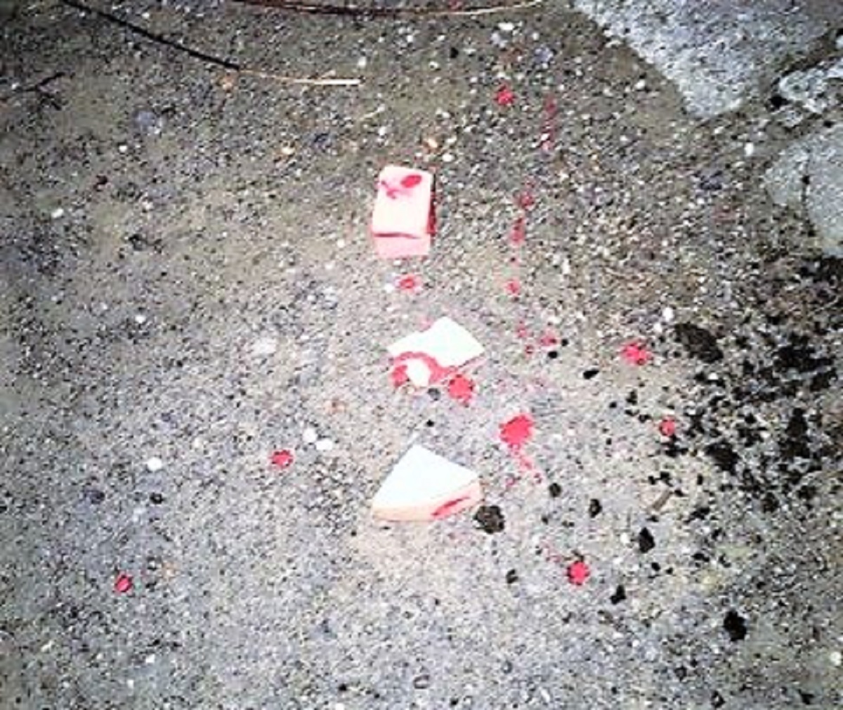 FOTO. Atenție, proprietari de patrupede! Bucăți de parizer cu otravă, găsite pe spațiul public