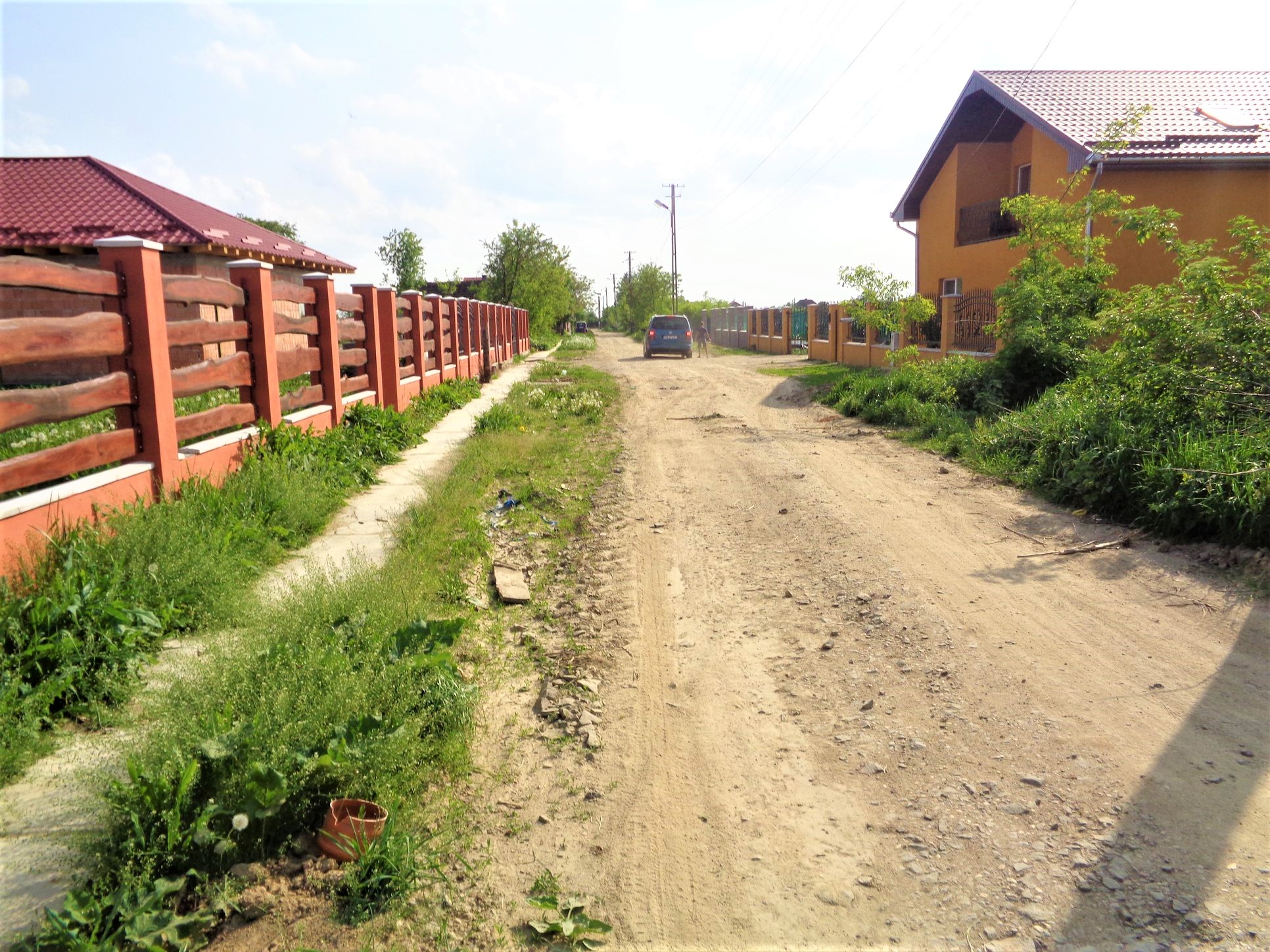 Primar din Satu Mare, mesaj ironic la adresa Vioricăi Dăncilă