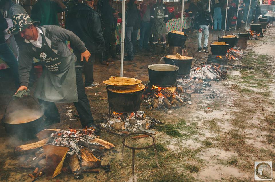 Atenție, gurmanzi! Festival pescăresc, zeci de bucătari se vor întrece în județul Satu Mare