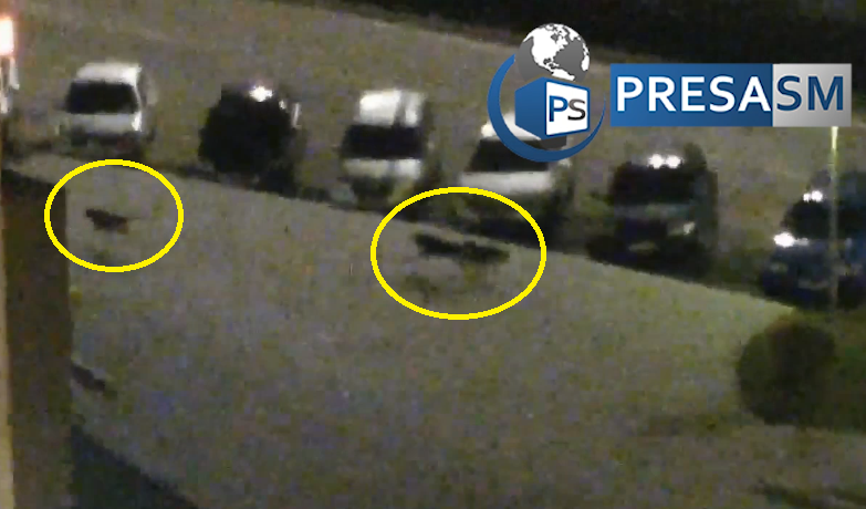 VIDEO. O haită de câini atacă un biciclist în centrul municipiului Satu Mare