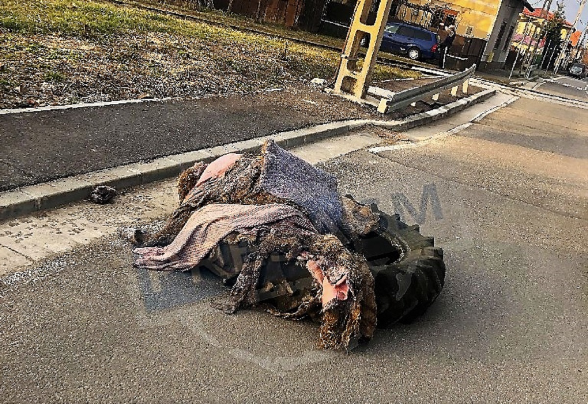 FOTO. Sătmarul minunilor. Un cauciuc de tractor, uitat trei zile pe carosabil