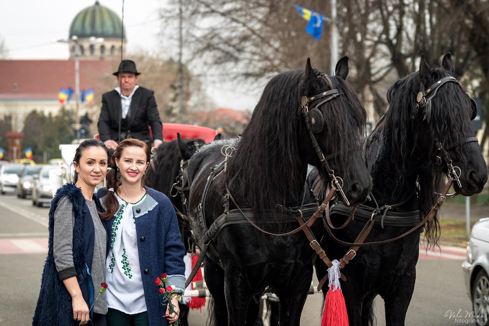 FOTOGALERIE. INEDIT! Flori din trăsură pentru sătmărence! Ca-n Sătmarul de altă dată