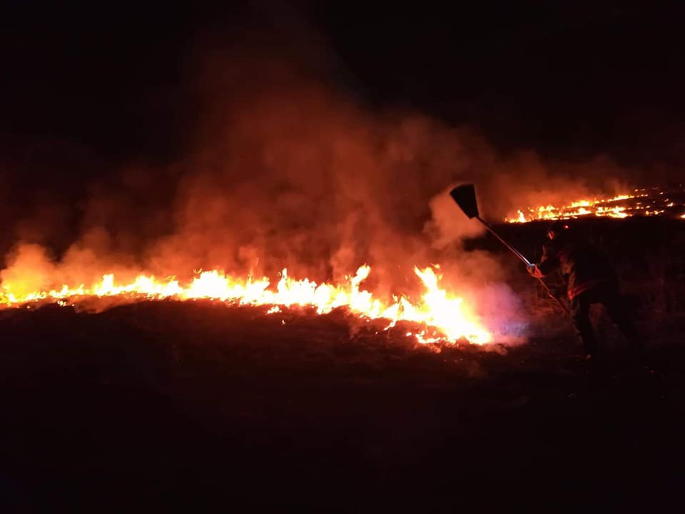 FOTO. Incendiu de amploare la Halmeu. Intervin pompierii