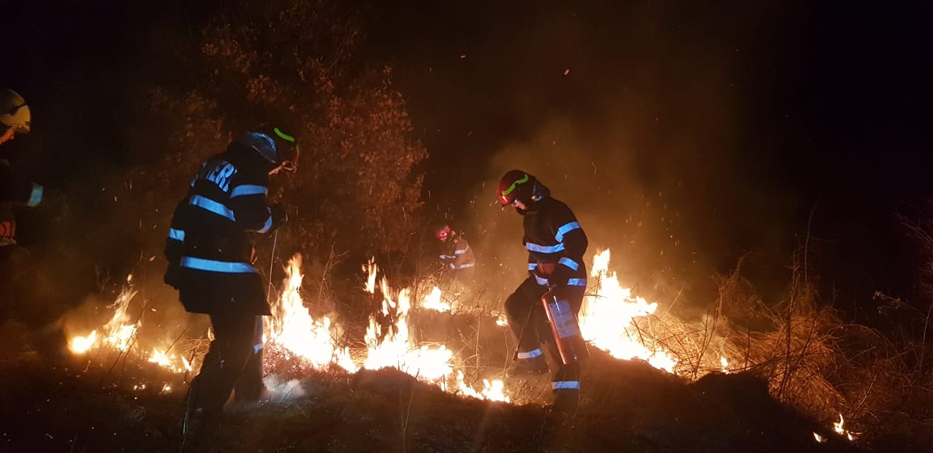 VIDEO. Intervenție dificilă a pompierilor. Incendiul amenința pădurea de plopi