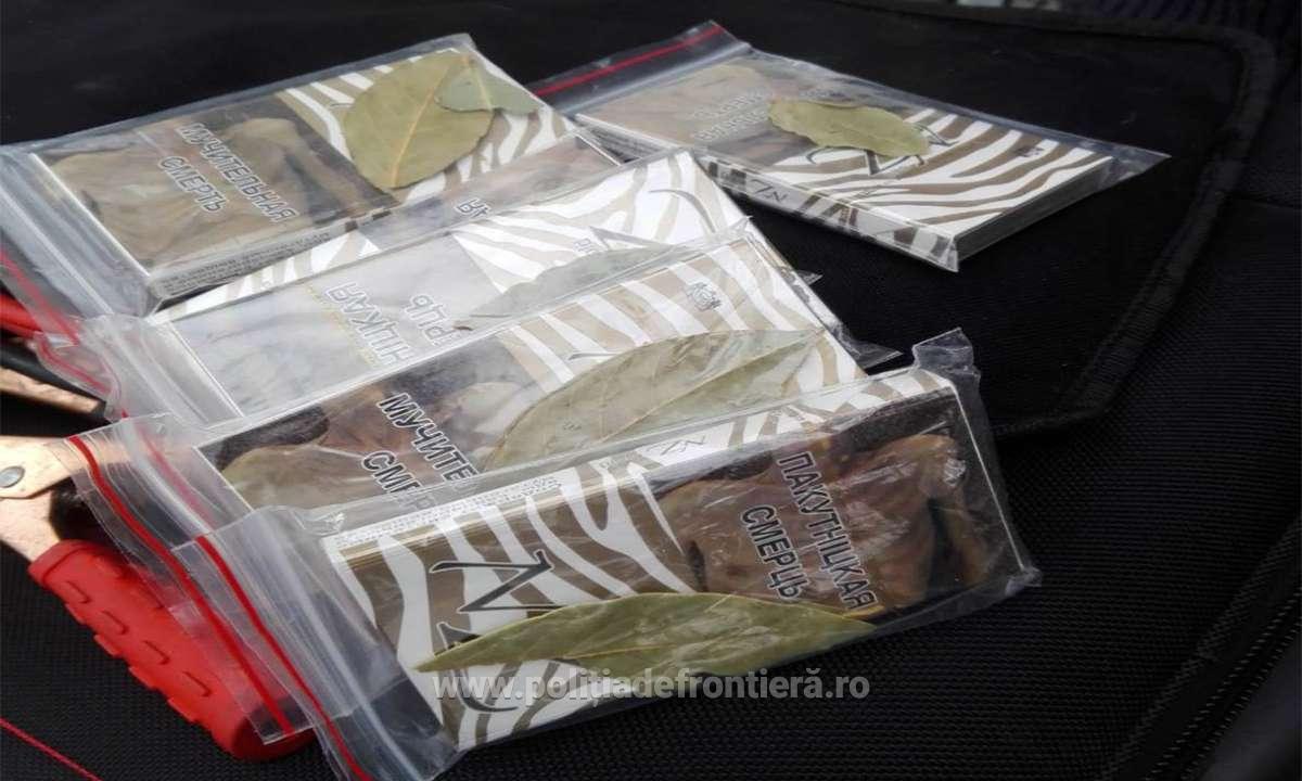 FOTO. Cum încearcă contrabandiștii de țigări să păcălească câinii de urmă