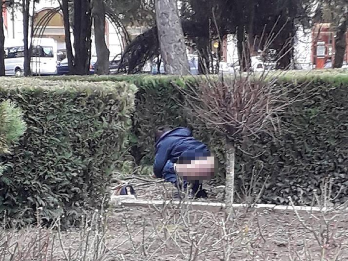 FOTO. REVOLTĂTOR! Parcul Central, transformat în toaletă publică