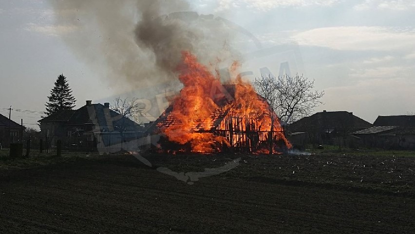 FOTO. Incendiu cu pericol de propagare. Panică într-o localitate din județ