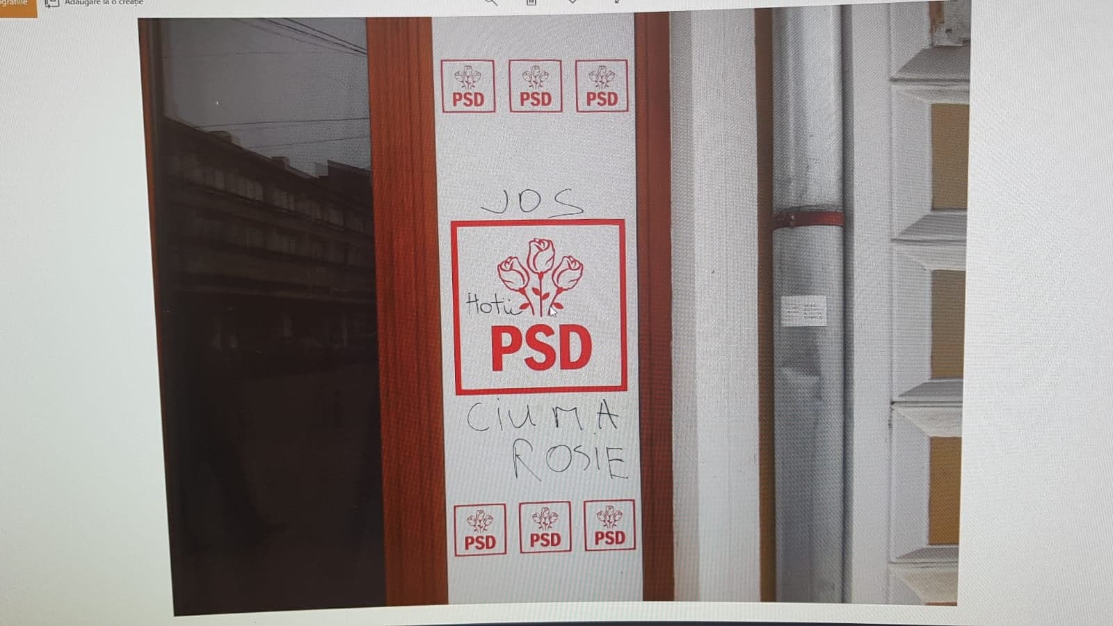 FOTO. Sediul PSD Satu Mare, vandalizat din nou. Făptuitorul, prins de Poliția Locală
