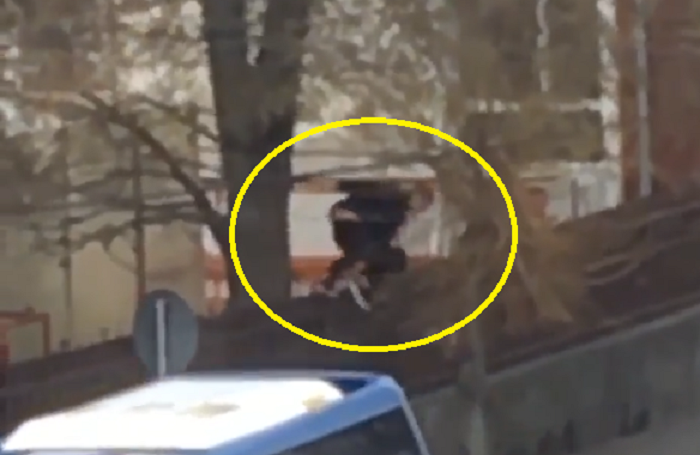 VIDEO. Chiul prin orice mijloace în școlile din Satu Mare. Școala crează alergie