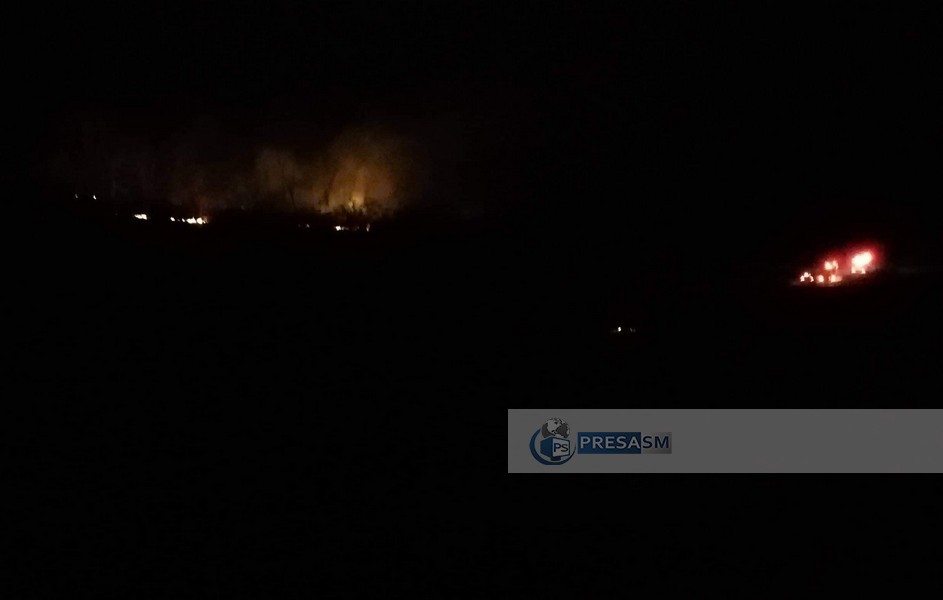 FOTO. Malul Someșului, în flăcări. Incendiu în municipiul Satu Mare