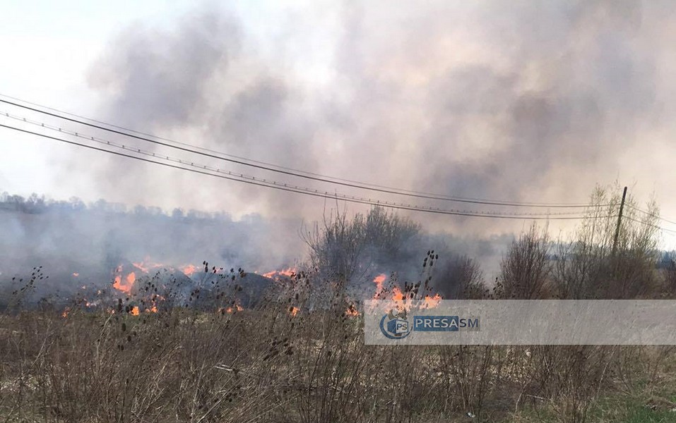 FOTO/VIDEO. Incendiu de vegetație pe Drumul Careiului. Șoferii fug să-și salveze mașinile