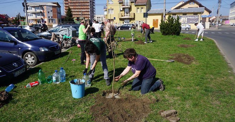 MOBILIZARE. Sătmărenii, îndemnați să planteze un copac în grădini și în curțile blocurilor