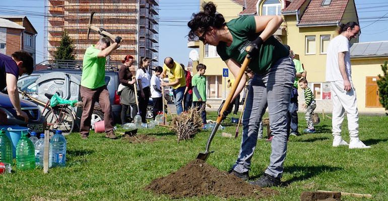 Sătmarul Verde, asociația care înfrumusețează zonele din municipiul Satu Mare