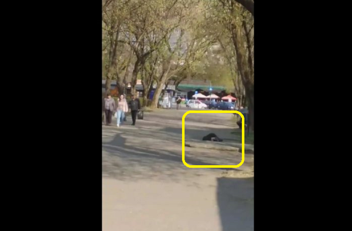 FOTO. La un pas să moară lângă Urgențe, fiindcă era îmbrăcat modest