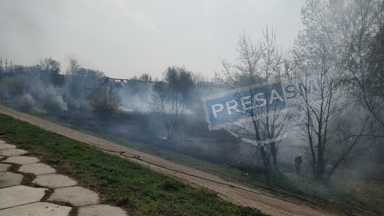 FOTO/VIDEO. Digul Someșului, în flăcări! Un piroman crează panică în municipiul Satu Mare