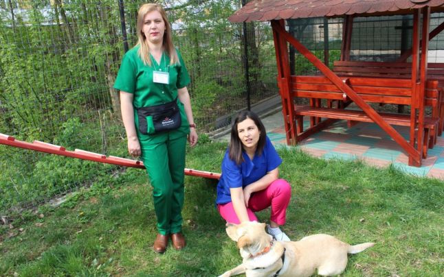 FOTO. O cățelușă dresată la Satu Mare ajută zeci de copii cu dizabilități din România