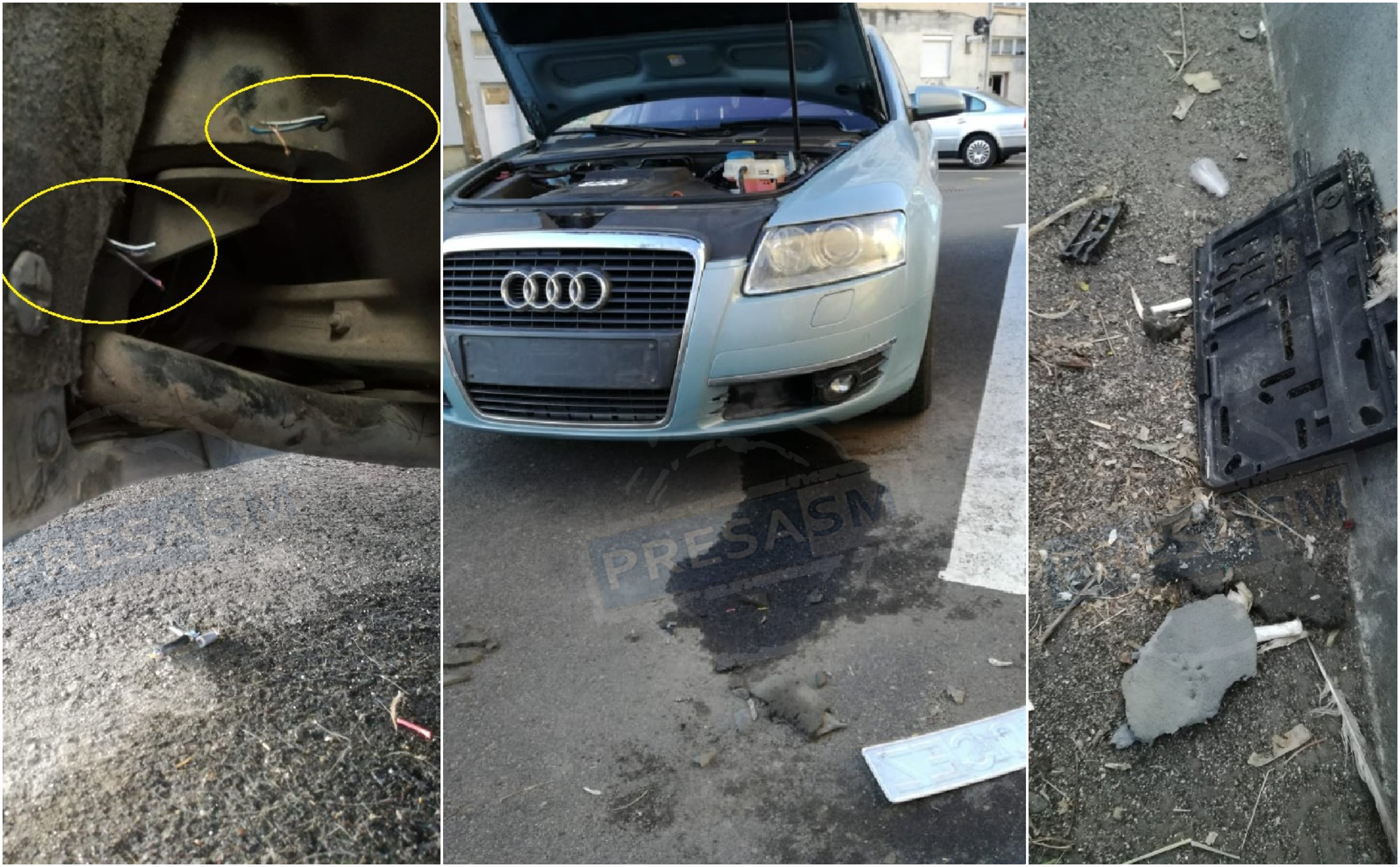 FOTOGALERIE. Mașină făcută praf de maidanezi în Satu Mare. Paguba: peste 8.000 lei