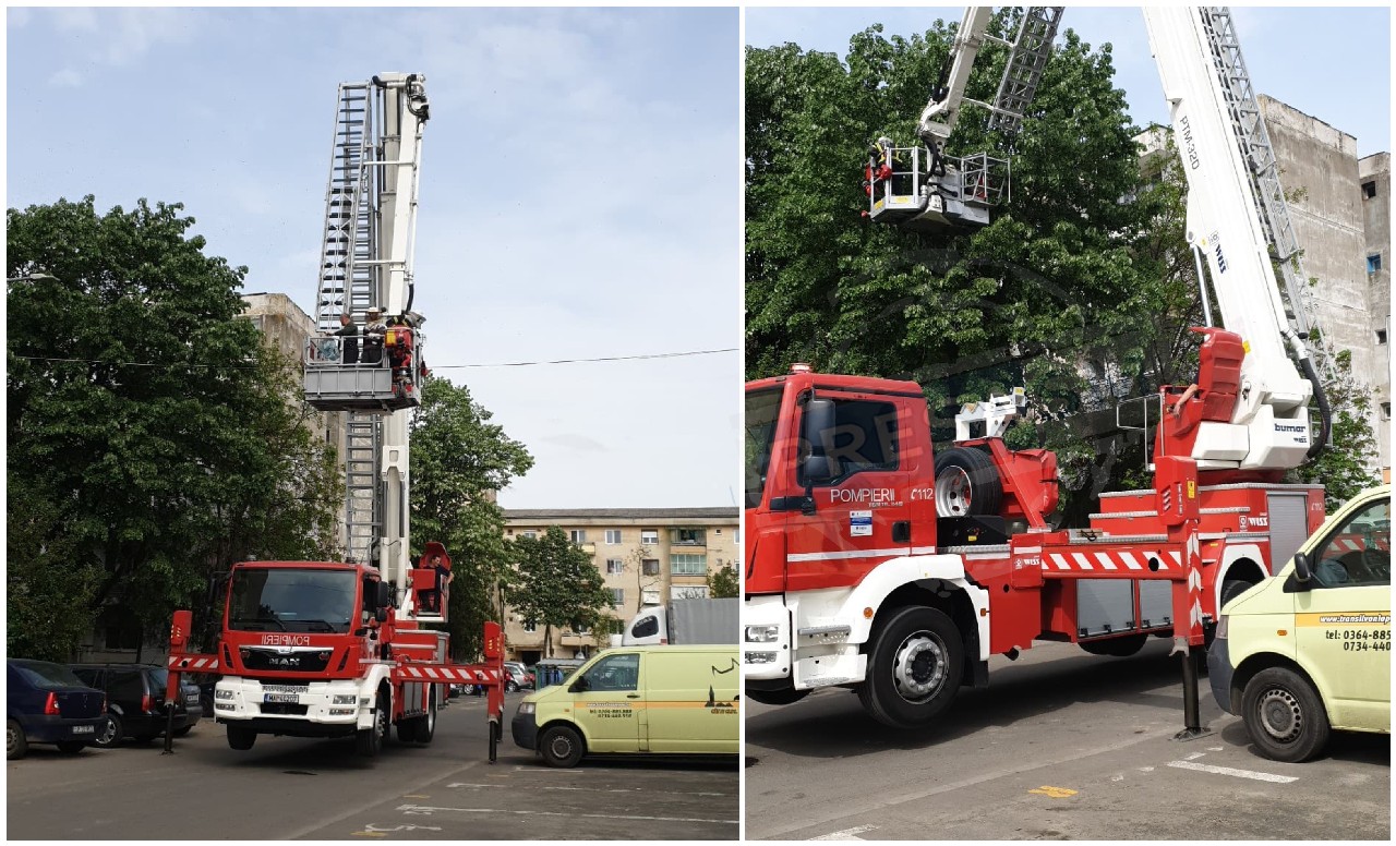 FOTO. Albinele terorizează locuitorii din Carpați I. Au intervenit pompierii