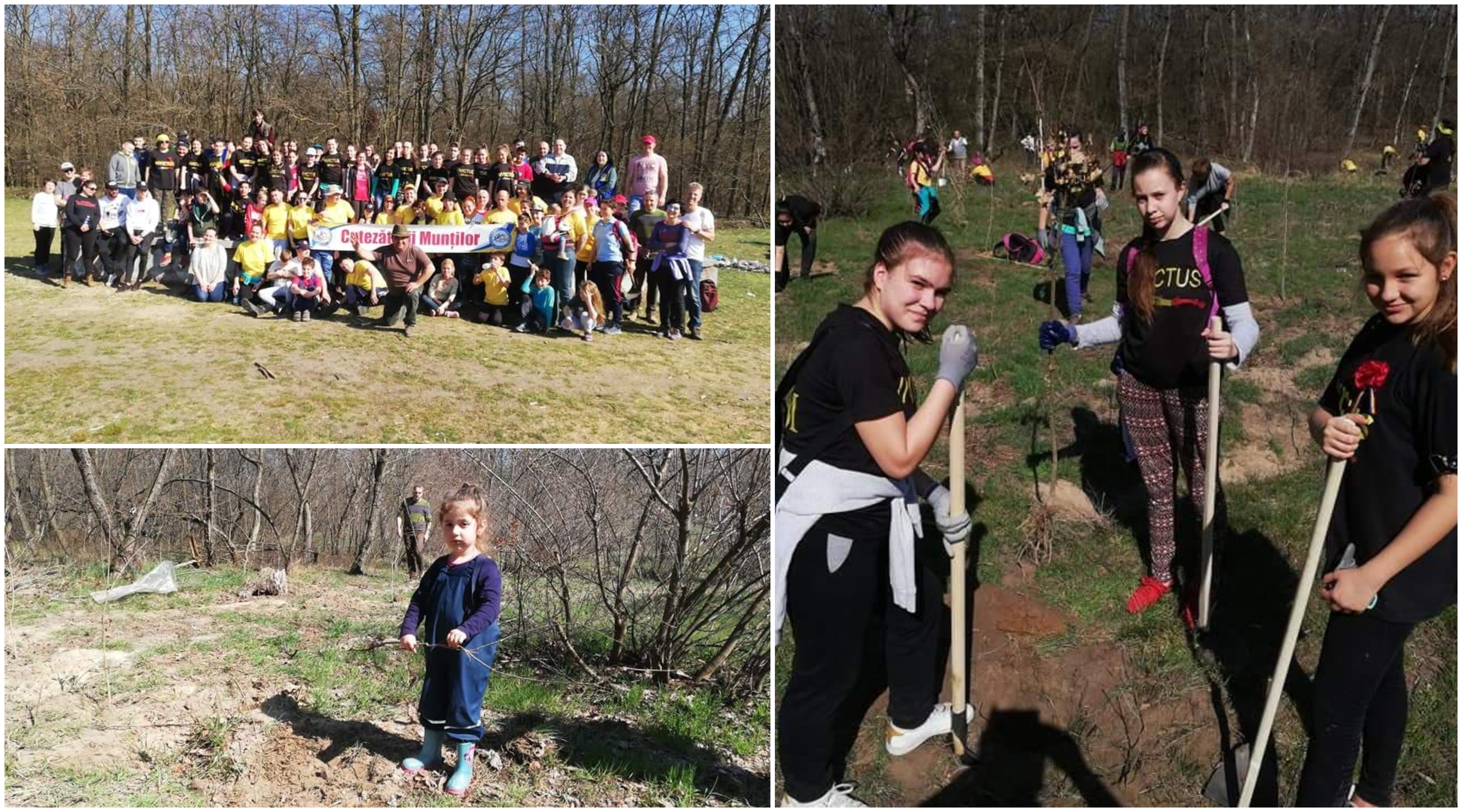FOTOGALERIE. Respect! Copiii au plantat o pădure întreagă în județul Satu Mare