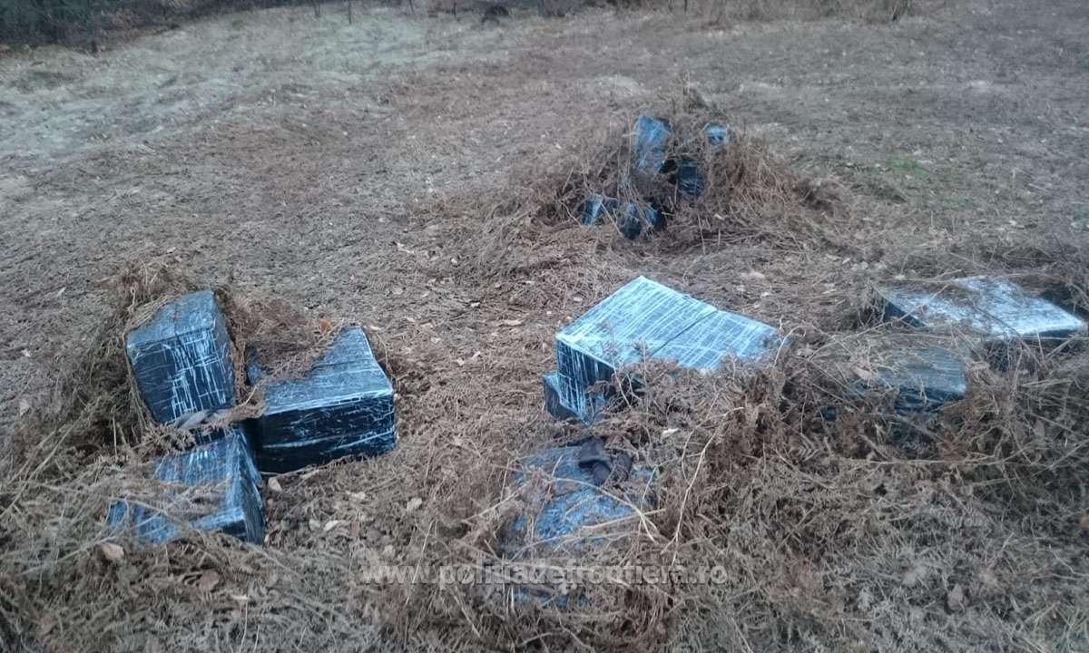 FOTOGALERIE. Ucrainenii ”invadează” Țara Oașului. Contraatac al polițiștilor de frontieră