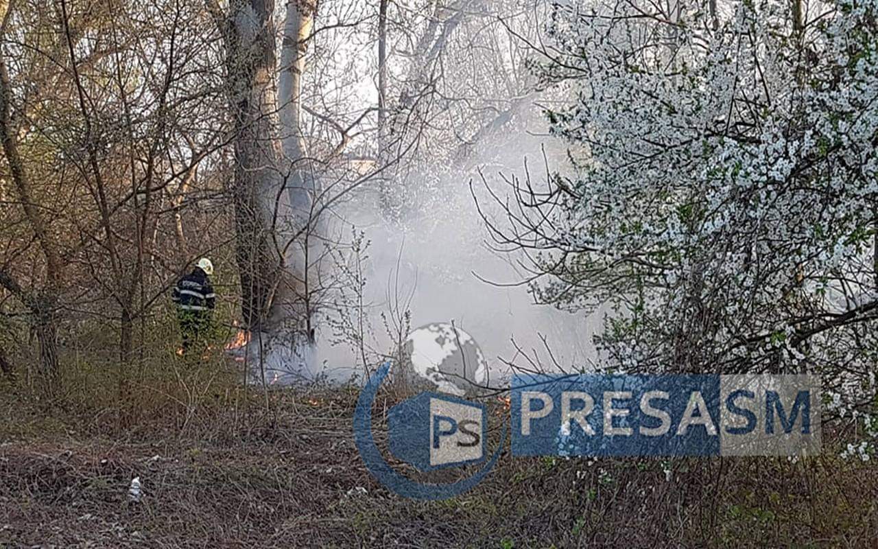 FOTO/VIDEO. Foc pus intenționat pe malul Someșului, în zona podului de fier