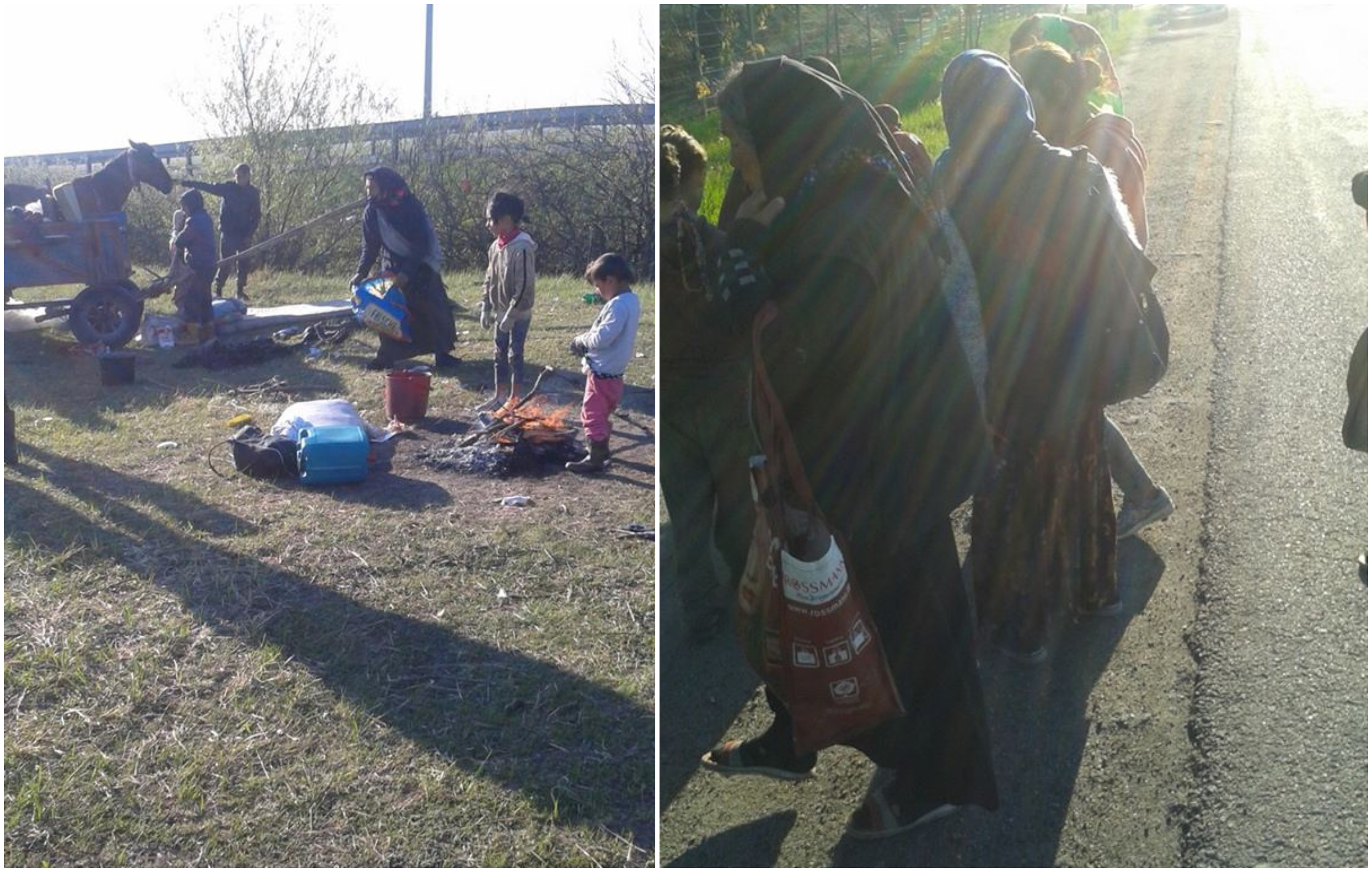 FOTOGALERIE. Zona Careiului, invadată de o șatră de țigani-cerșetori. Cu tot cu căruțe, cai și căței