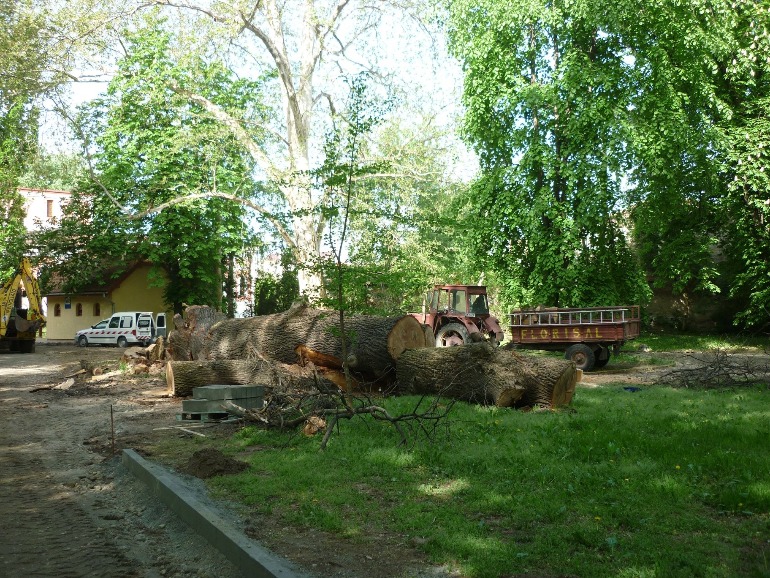 Grădina Romei, închisă în urma problemelor apărute după Codul roșu