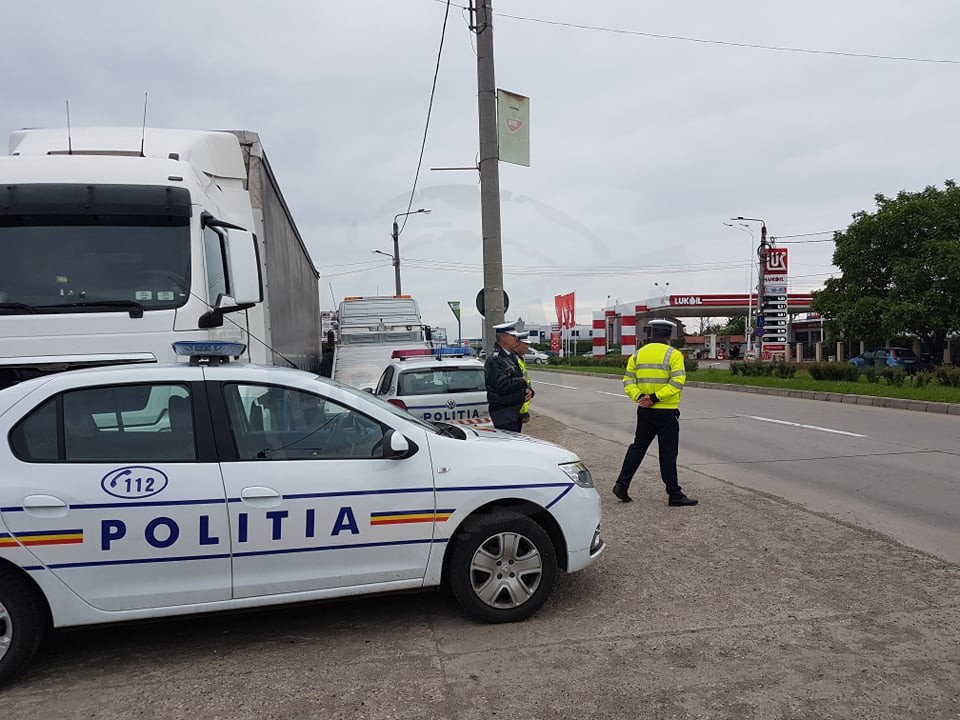 Filtre și confiscare de amploare în județul Satu Mare! Sute de găini omorâte de autorități