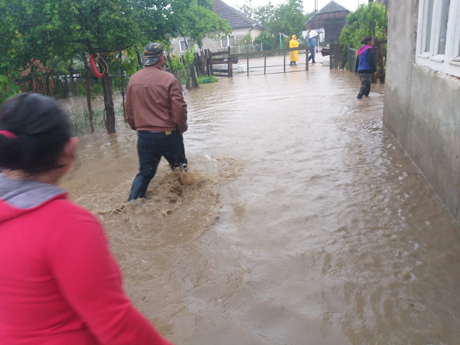 FOTO/VIDEO. Case și drumuri inundate în județul Satu Mare