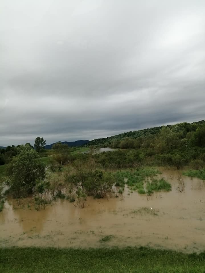 FOTO. Zeci de locuințe și zeci de kilometri de drumuri inundate în județul Satu Mare