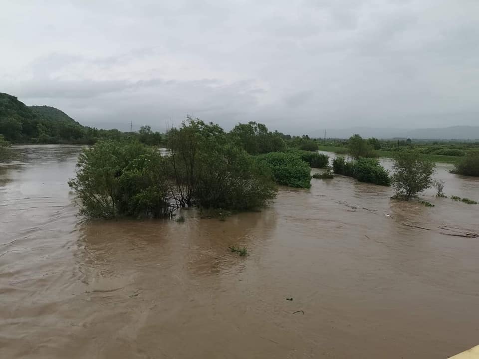 FOTO. Inundații la Satu Mare. Apa a intrat în curțile caselor. Culturi agricole, afectate