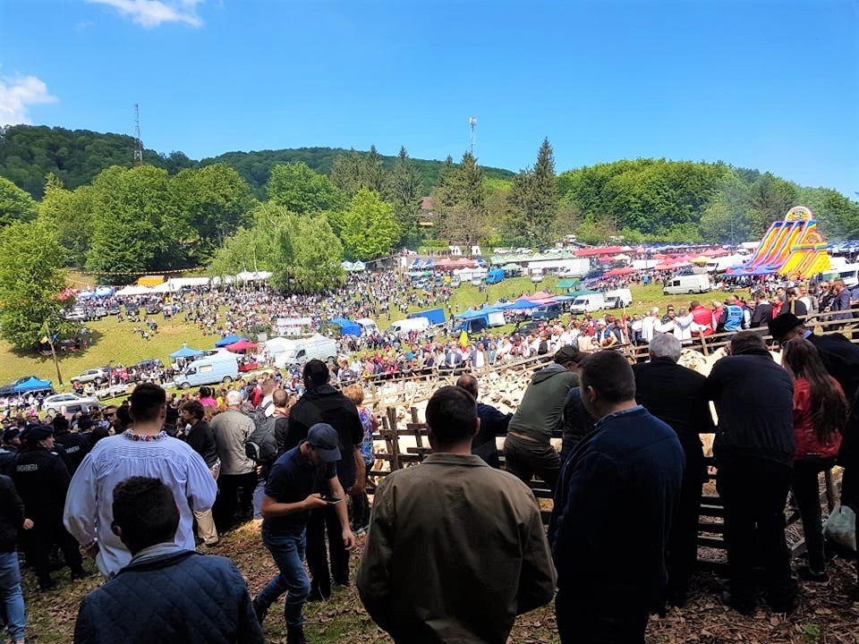 Duminică are loc Sâmbra Oilor! Se așteaptă o participare record la cea mai mare sărbătoare câmpenească din județul Satu Mare