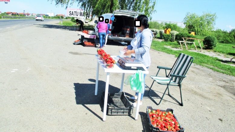 FOTO. ”Falși căpșunari” luați în vizor de Poliția Locală. Amenzi la marginea Sătmarului