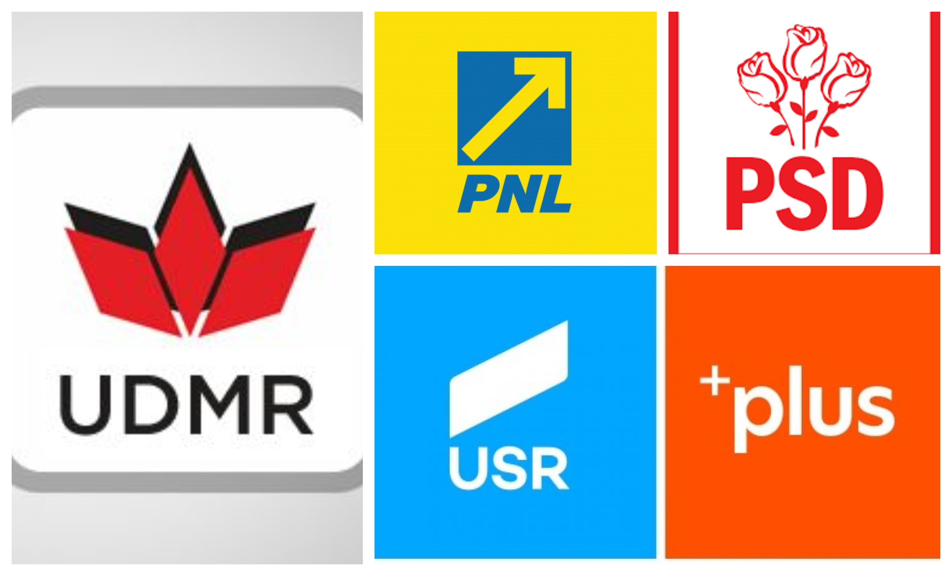 UDMR, marele câștigător al alegerilor din județ. PSD, marele perdant. USR vine în forță