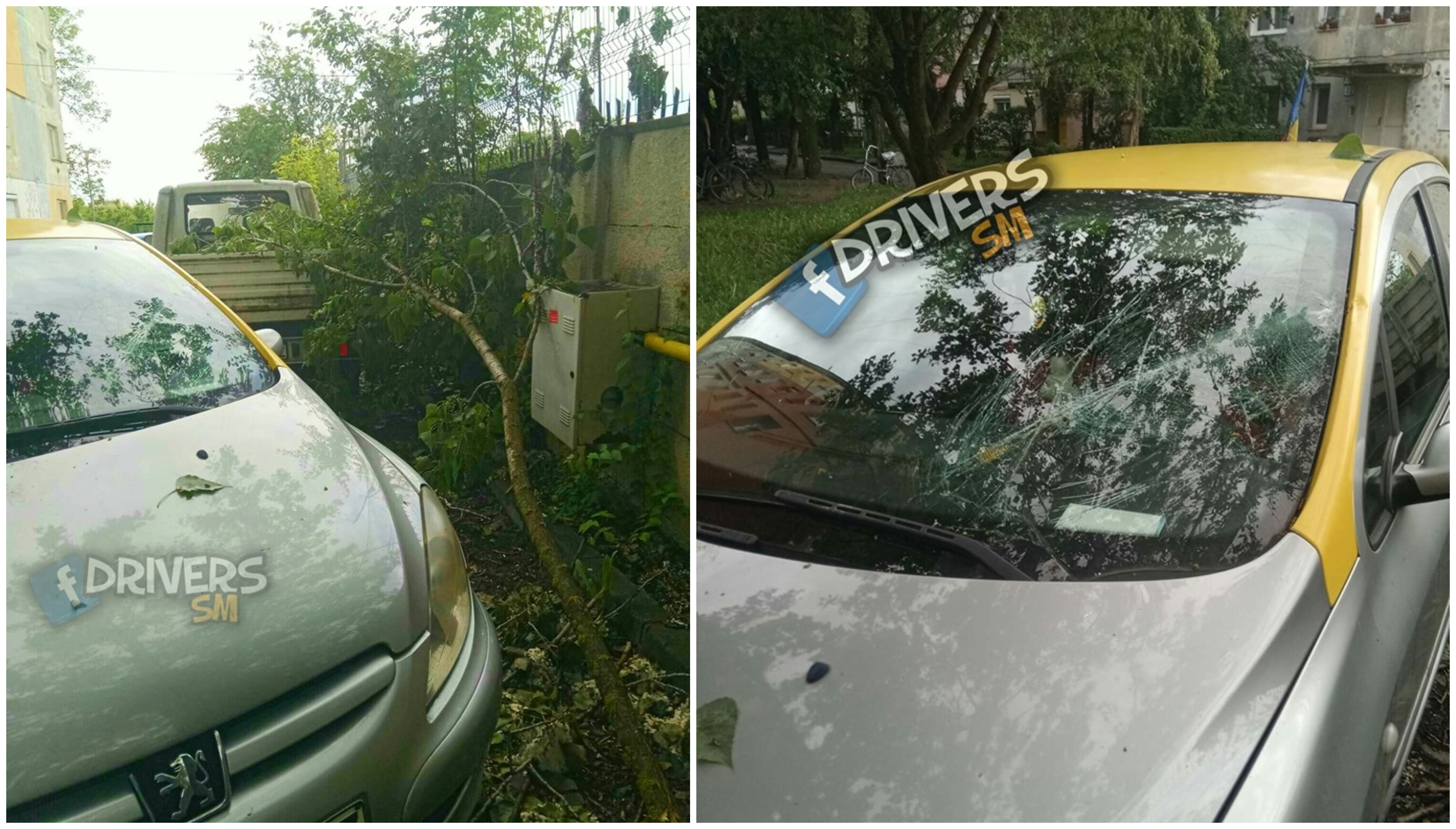 FOTO. ”Dă-te, bă, că cade copacul!” Mașină avariată de o creangă în Satu Mare