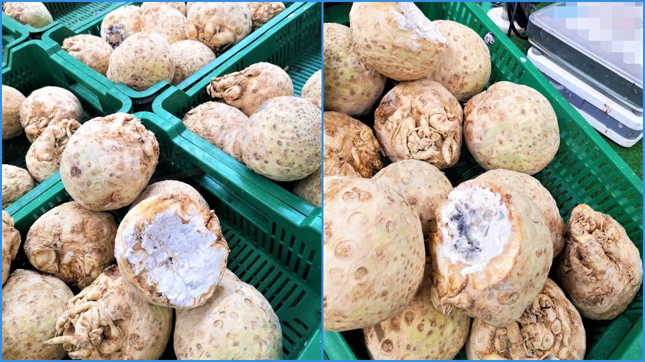 FOTO. "Specialitate franțuzească" la un magazin din Satu Mare: țelină cu mucegai