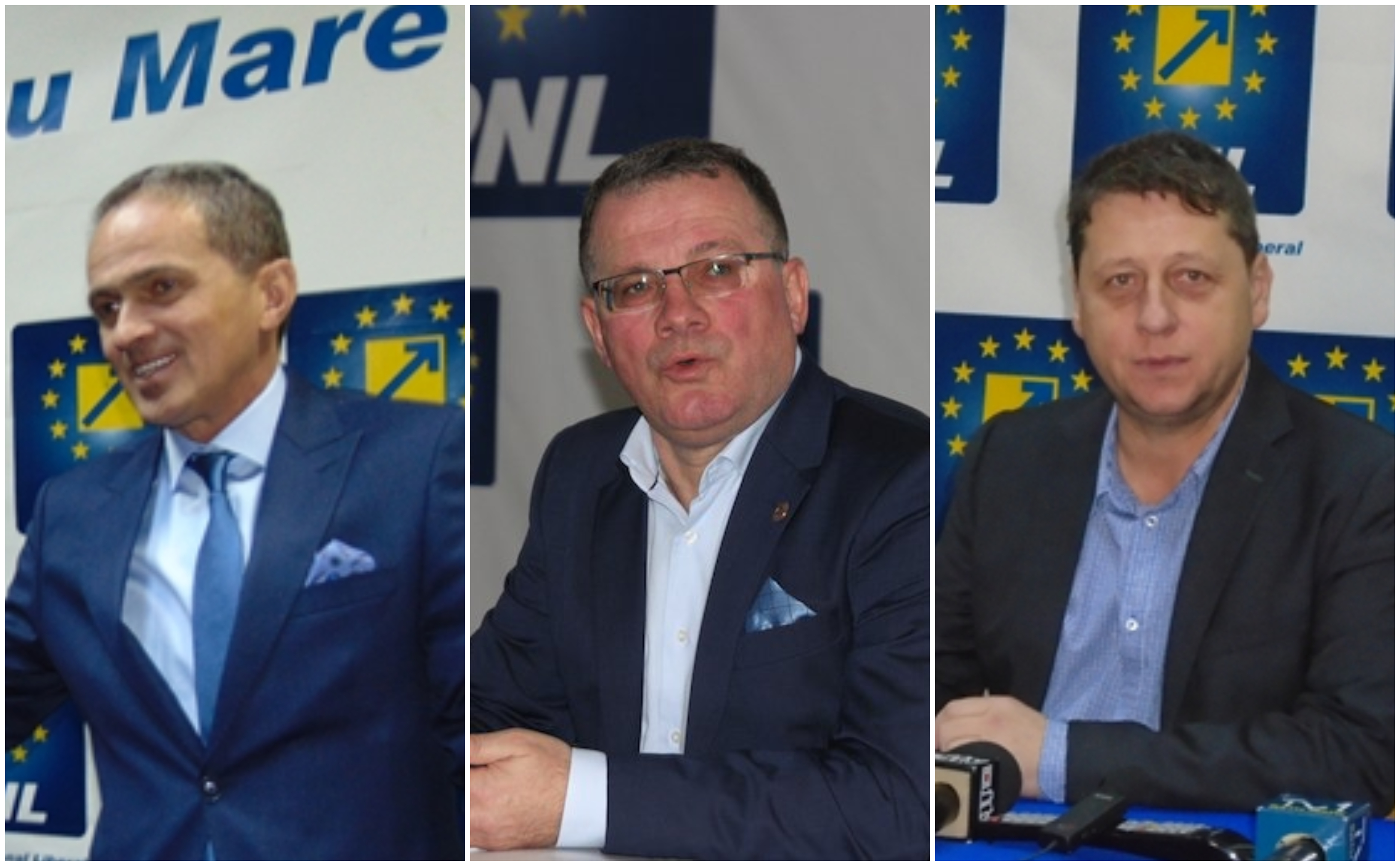 PNL, primul partid care și-a lansat programul politic pentru Europarlamentare