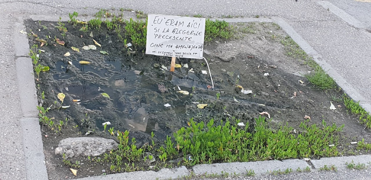 FOTO. Copacul care așteaptă să fie plantat: ”Eu am fost aici și la alegerile precedente”