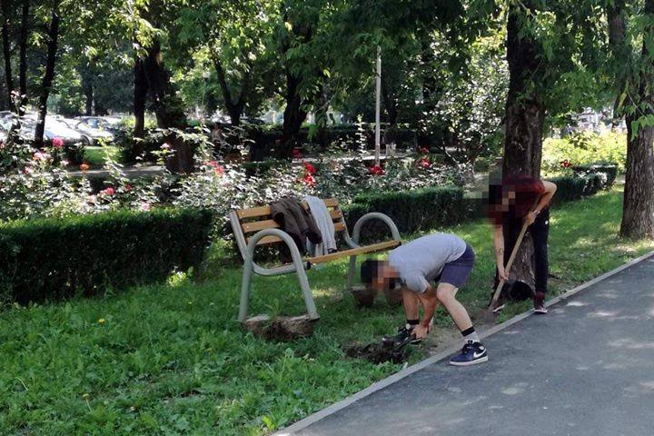 FOTOGALERIE. Tinerii care au vandalizat părculețul din Micro 15 au REPARAT ce au distrus