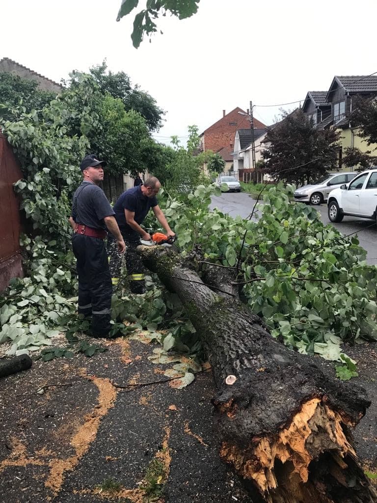 FOTOGALERIE. Copaci căzuți la pământ în tot municipiul Satu Mare. Intervin pompierii