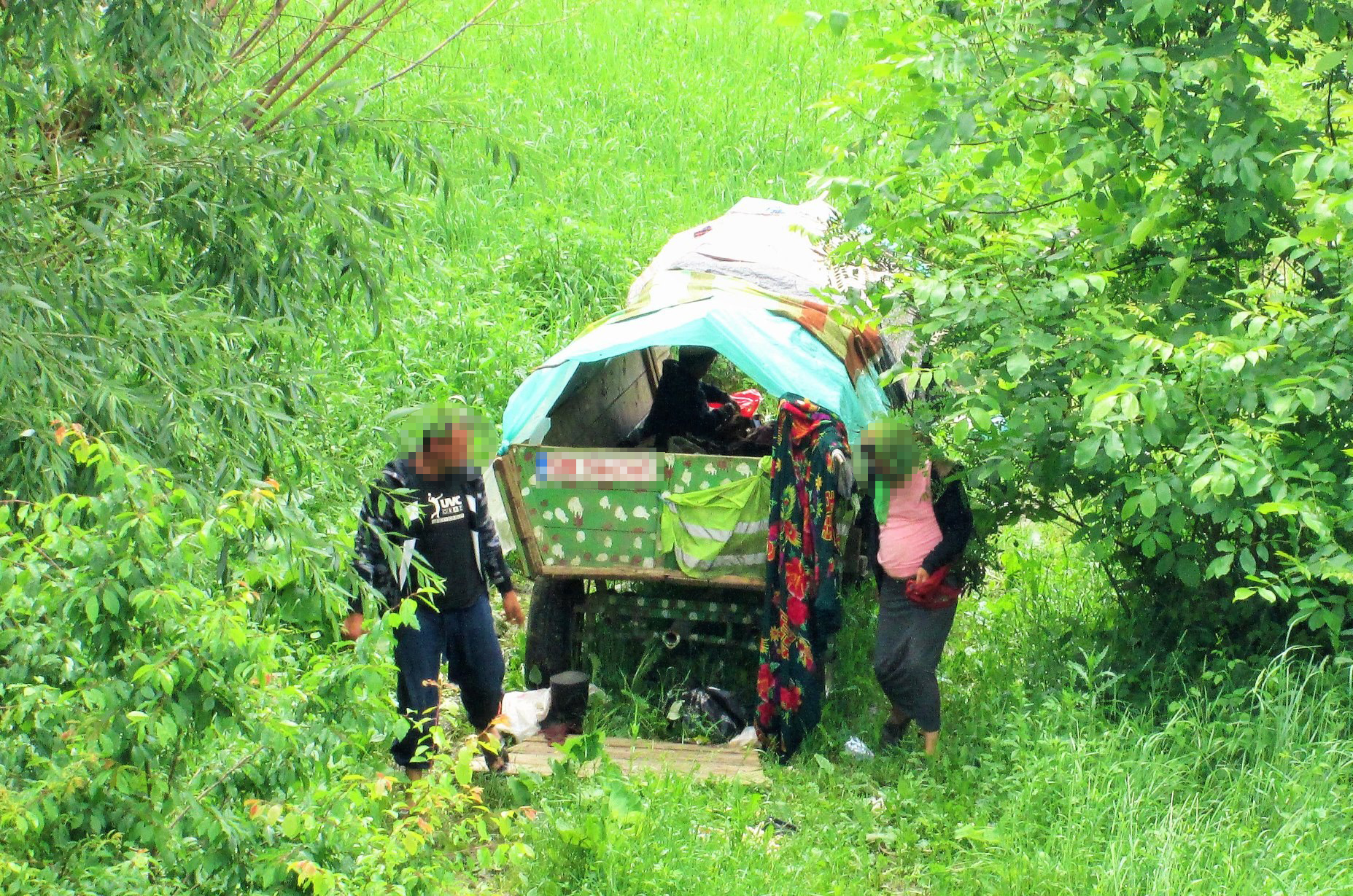 FOTO. Amenzi pe bandă rulantă pentru căruțași în Satu Mare: Nu țin cont de lege