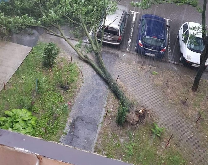 FOTO/VIDEO. Bilanț preliminar în urma Codului roșu. Copaci căzuți și acoperișuri smulse de vânt