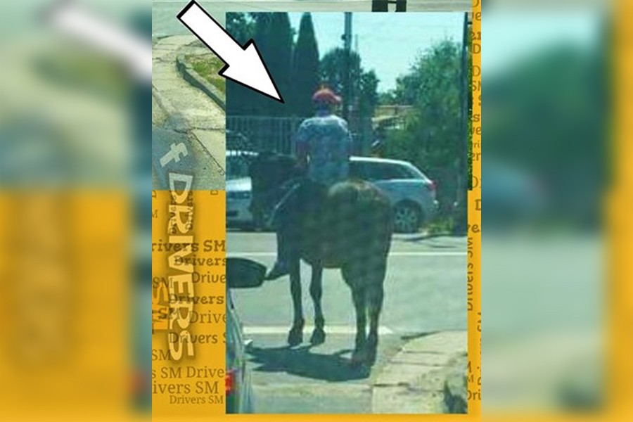 FOTO. Ca-n vestul sălbatic. La plimbare, pe cal, prin municipiul Satu Mare