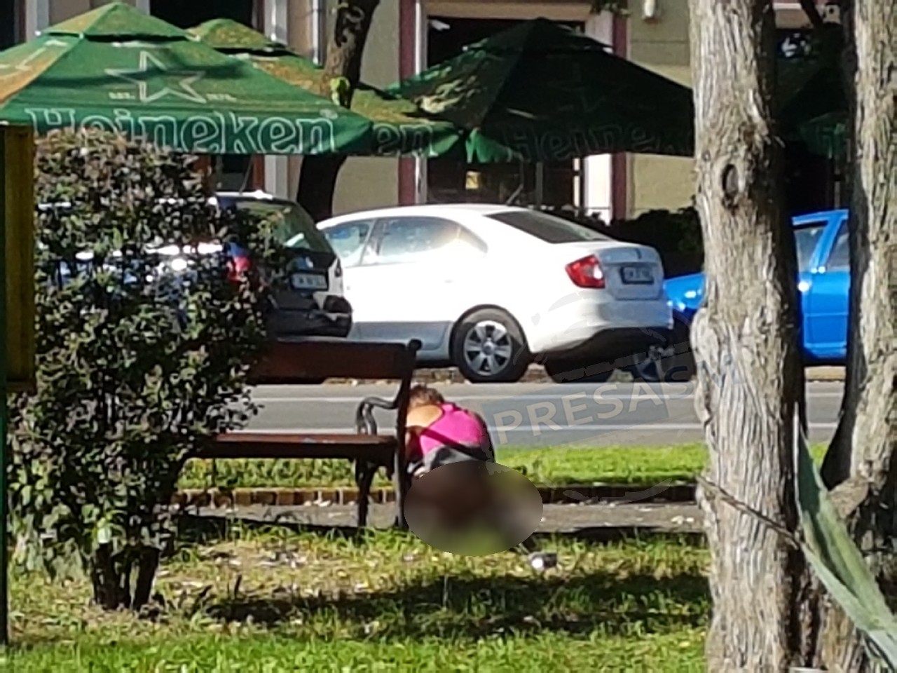 FOTO. Gest revoltător în centrul Sătmarului. O femeie își face nevoile în plină stradă