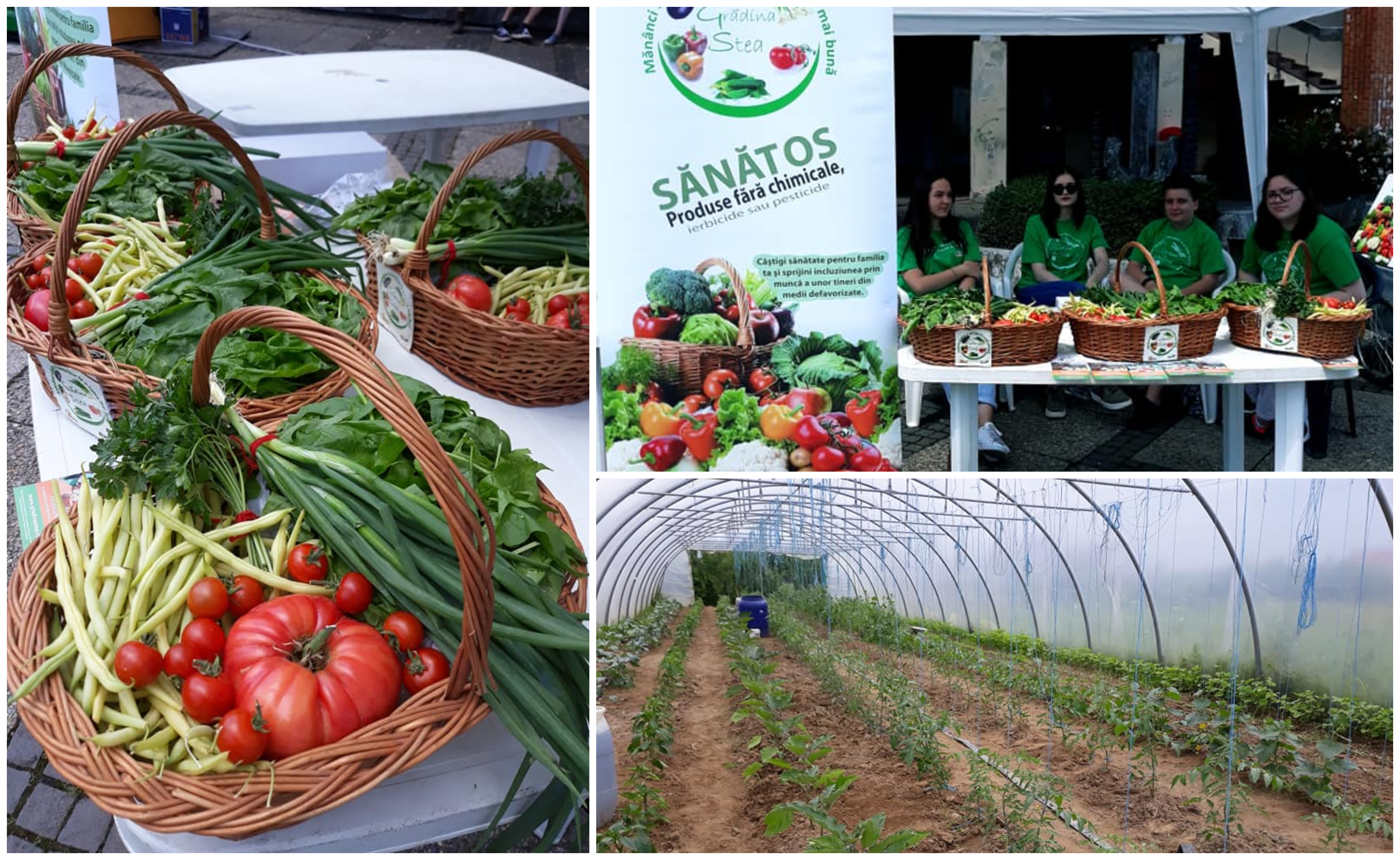 FOTO. Decât să cerșească, copiii sărmani fac grădinărit în Satu Mare! Ajutați-i să vândă produsele