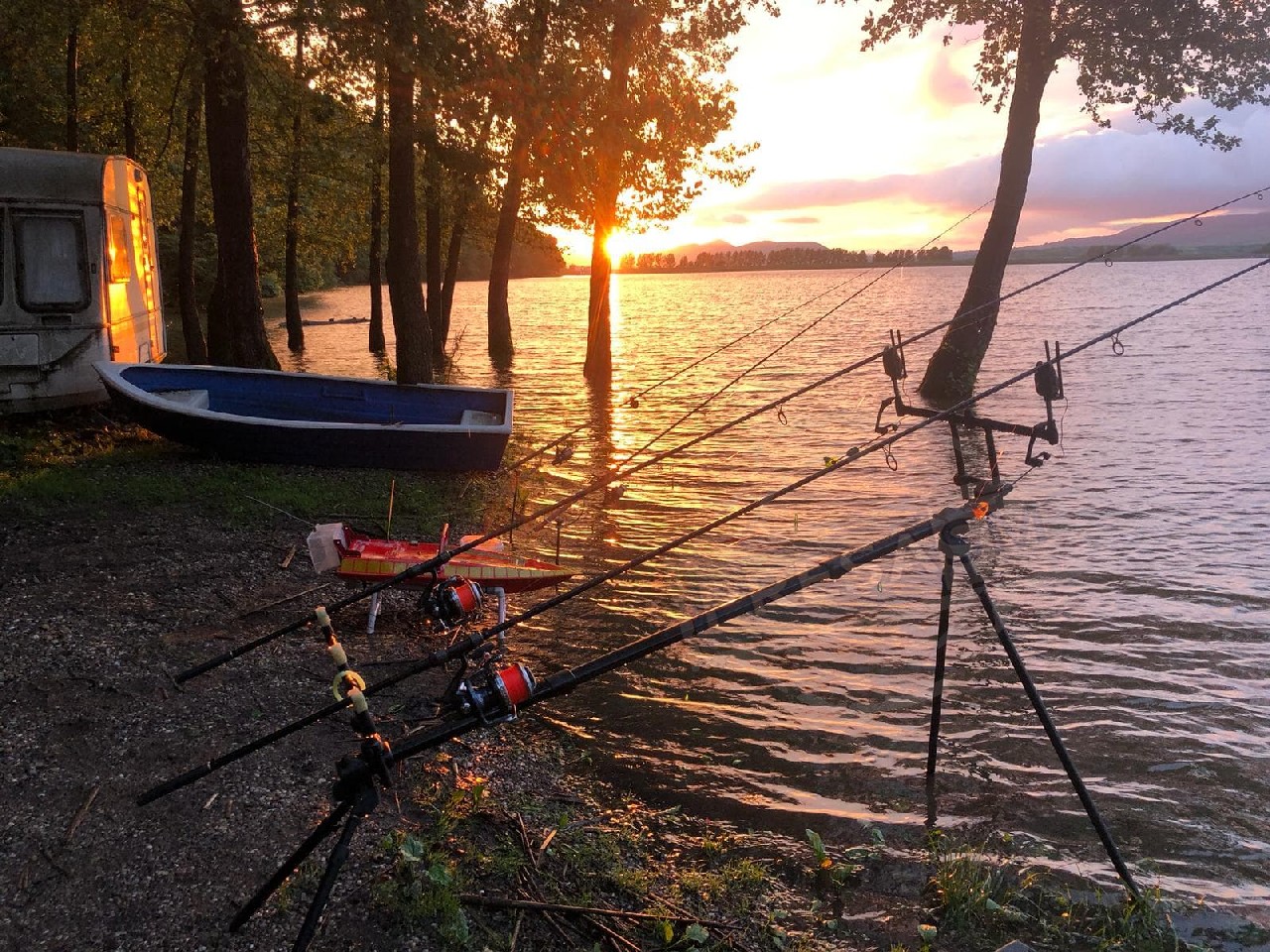 FOTO/VIDEO. Așa arată raiul pescarilor din județ. De la știucă și biban, până la plătică și avat